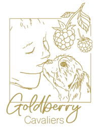 Goldberry Cavaliers